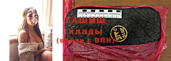 гидра Горнозаводск