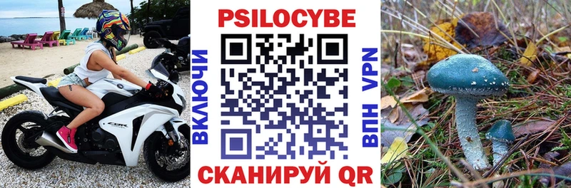 Псилоцибиновые грибы MAGIC MUSHROOMS  наркошоп  ОМГ ОМГ как зайти  Ершов 